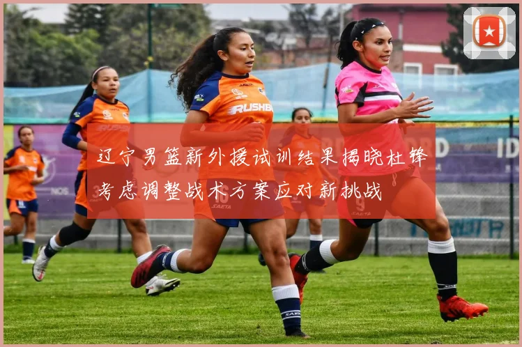 辽宁男篮新外援试训结果揭晓杜锋考虑调整战术方案应对新挑战