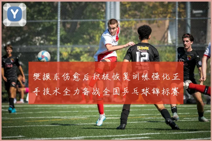 樊振东伤愈后积极恢复训练强化正手技术全力备战全国乒乓球锦标赛
